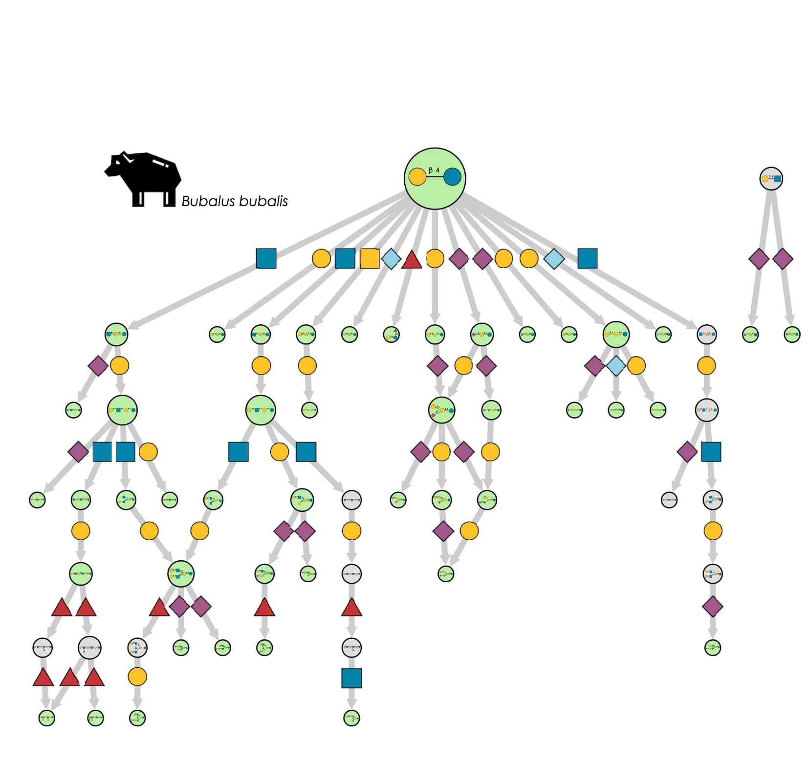 Open access visualization of Pathway, Network, Reaction Path, Biosynthetic Network, Network Motifs