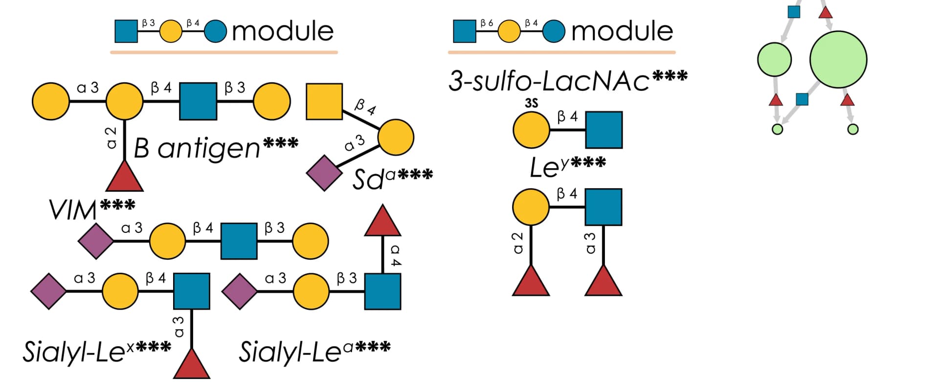 Open access visualization of Workflow, Illustration, Enrichment Analysis, Terminal Motifs, Glycans
