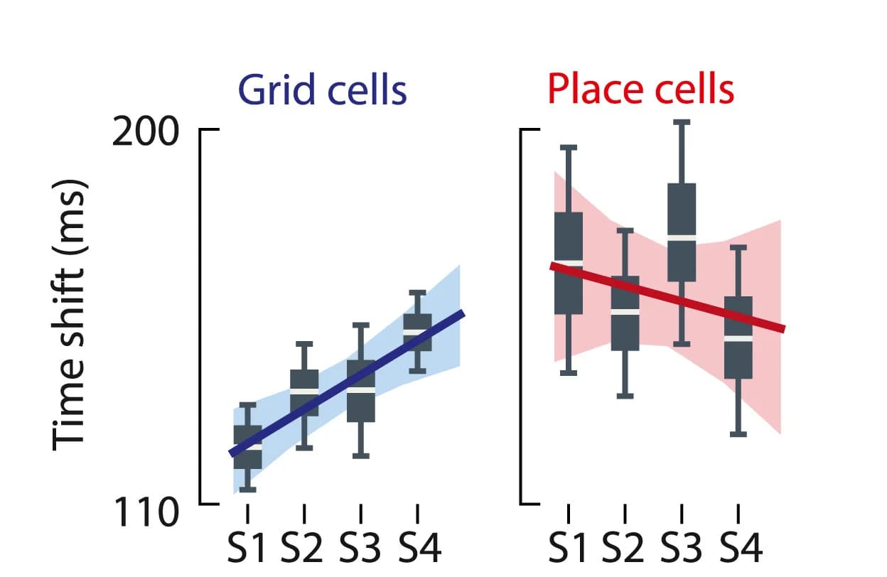 Open access visualization of Box Plot, Line Plot, Error Bars, Time Shifts, Enclosure Shape