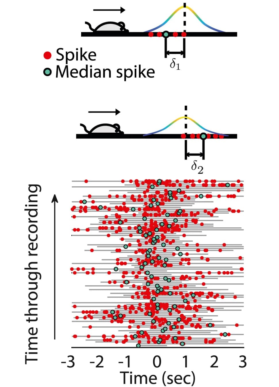 Open access visualization of Scatter Plot, Schematics, Spikes, Grid Cells