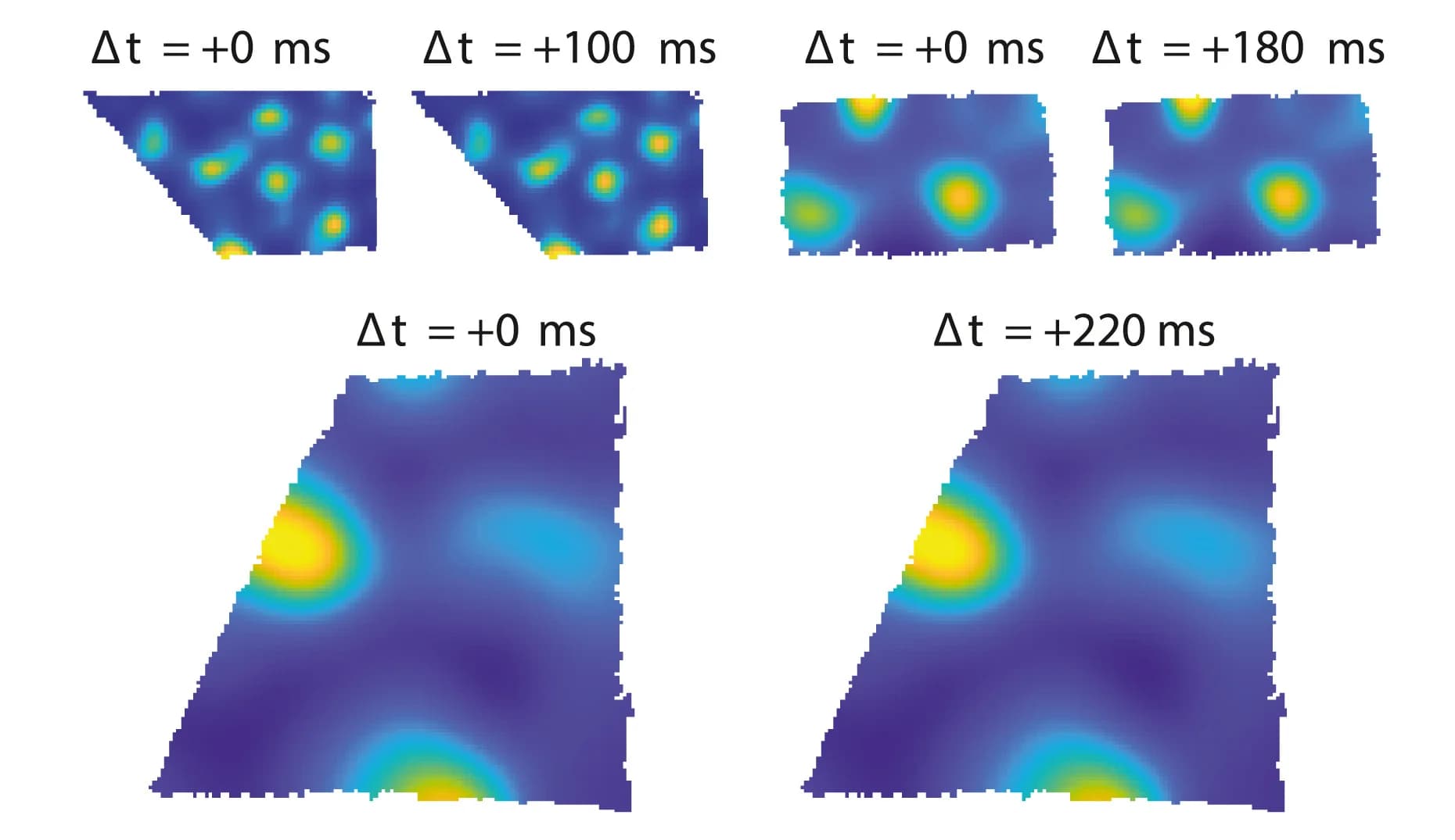 Open access visualization of Heatmap, Grid Cells, Scale, Time Shifting, Firing-rate map