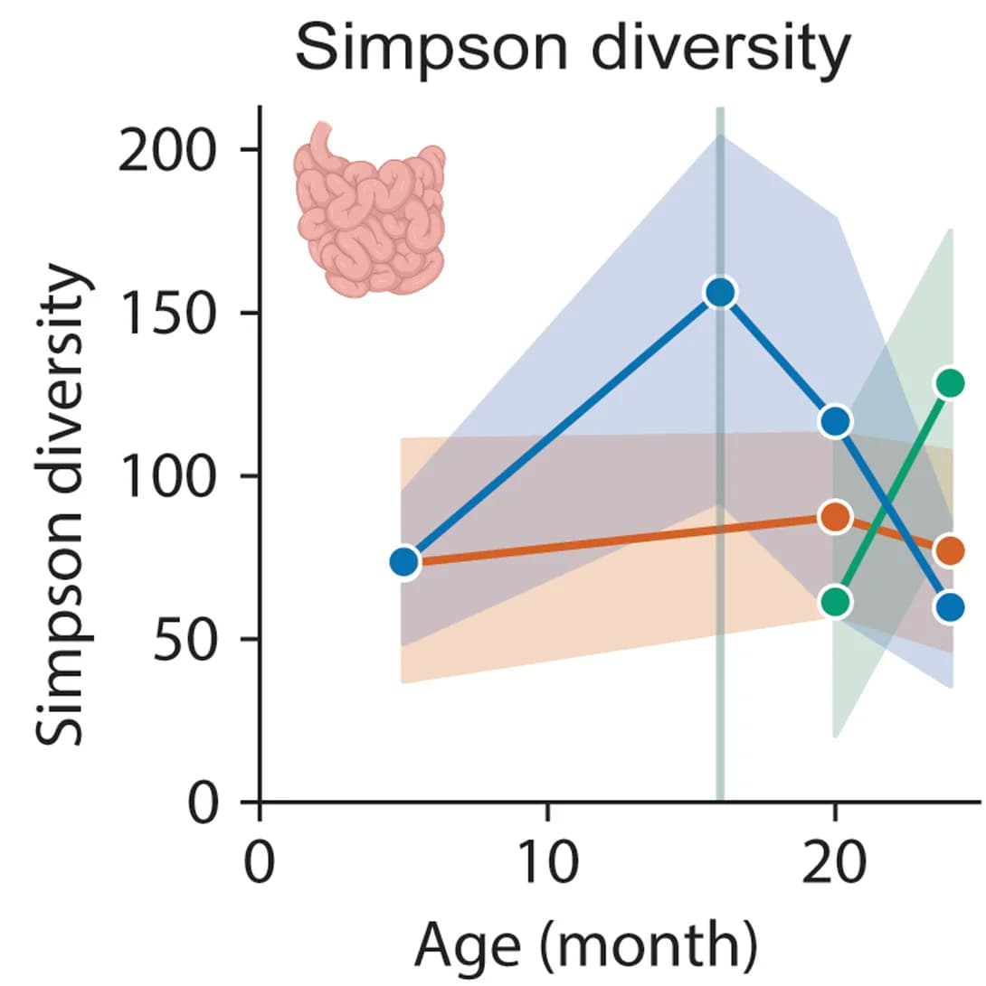 Open access visualization of Line Plot, Error Bars, Simpson diversity, Age, Diet