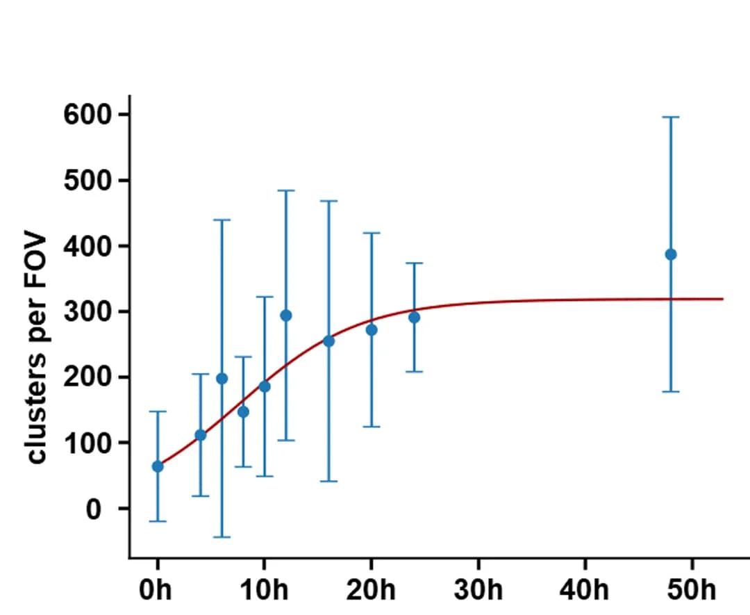 Open access visualization of Scatter Plot, Error Bars, Regression Plot, Intracellular Aggregates, Kinetic Analysis