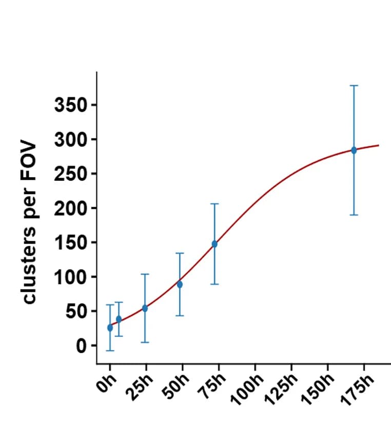 Open access visualization of Line Plot, Error Bars, Kinetic Analysis, Intracellular Aggregates, ANOVA Test