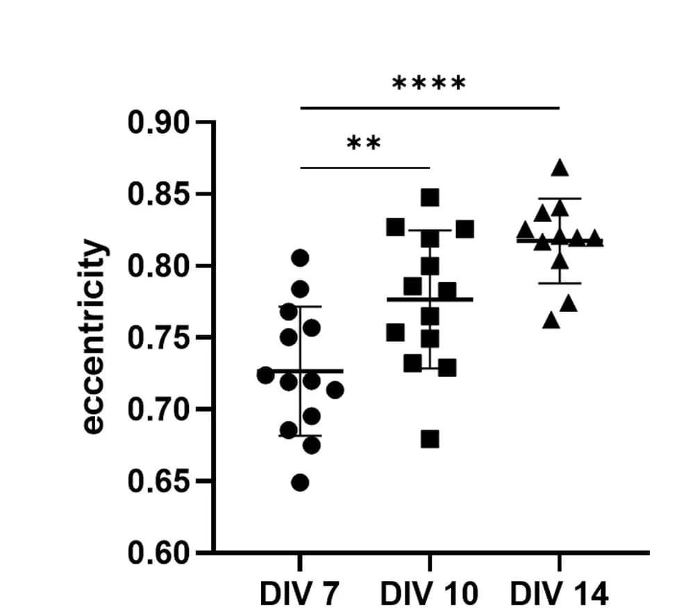 Open access visualization of Scatter Plot, Assemblies, Eccentricity