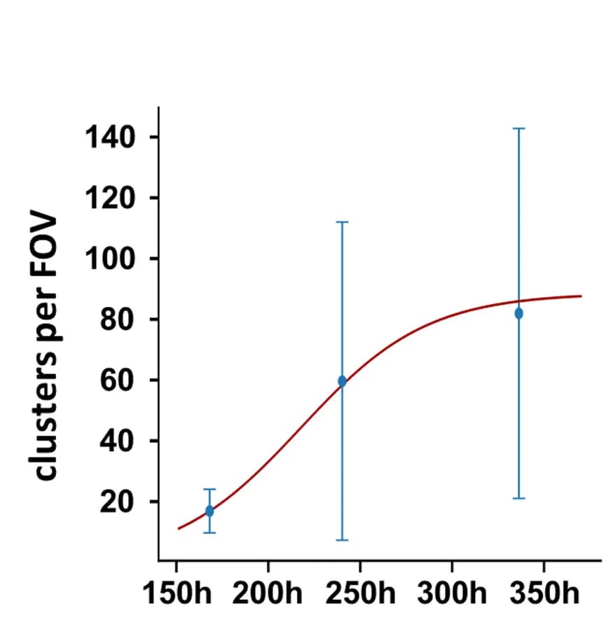 Open access visualization of Line Plot, Error Bars, Scatter Plot, Kinetic Analysis, Intracellular Aggregates