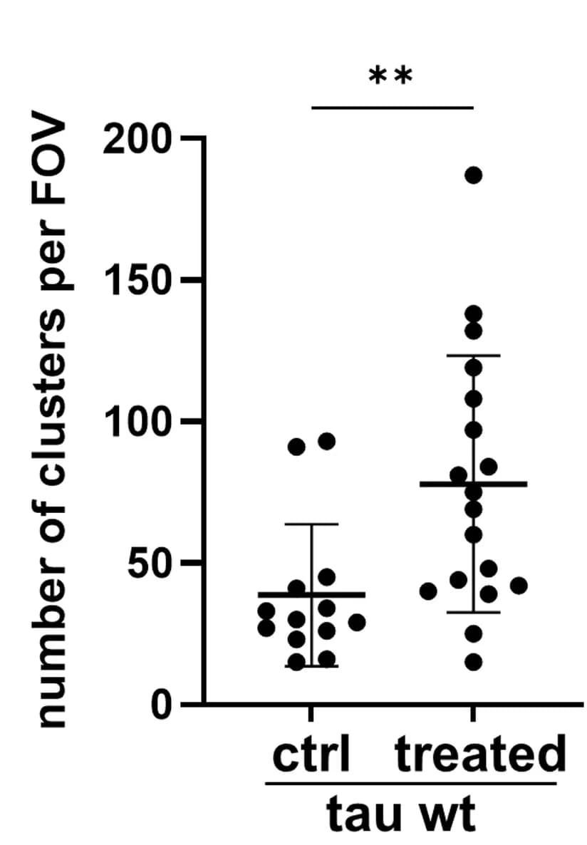 Open access visualization of Scatter Plot, Error Bars, Assemblies, Mock-treated Cells