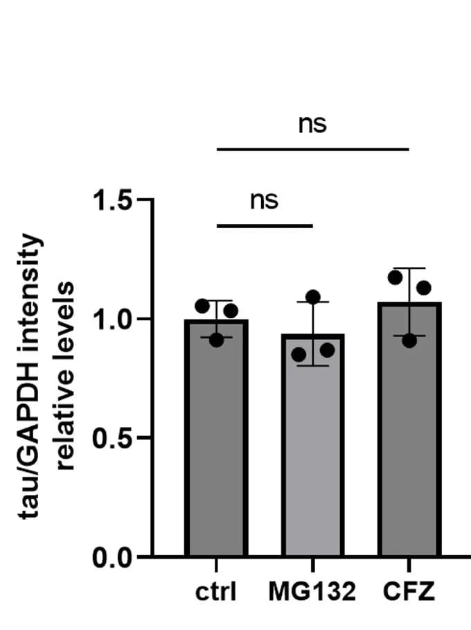 Open access visualization of Bar Plot, Error Bars, Intracellular Tau, GAPDH, Quantification