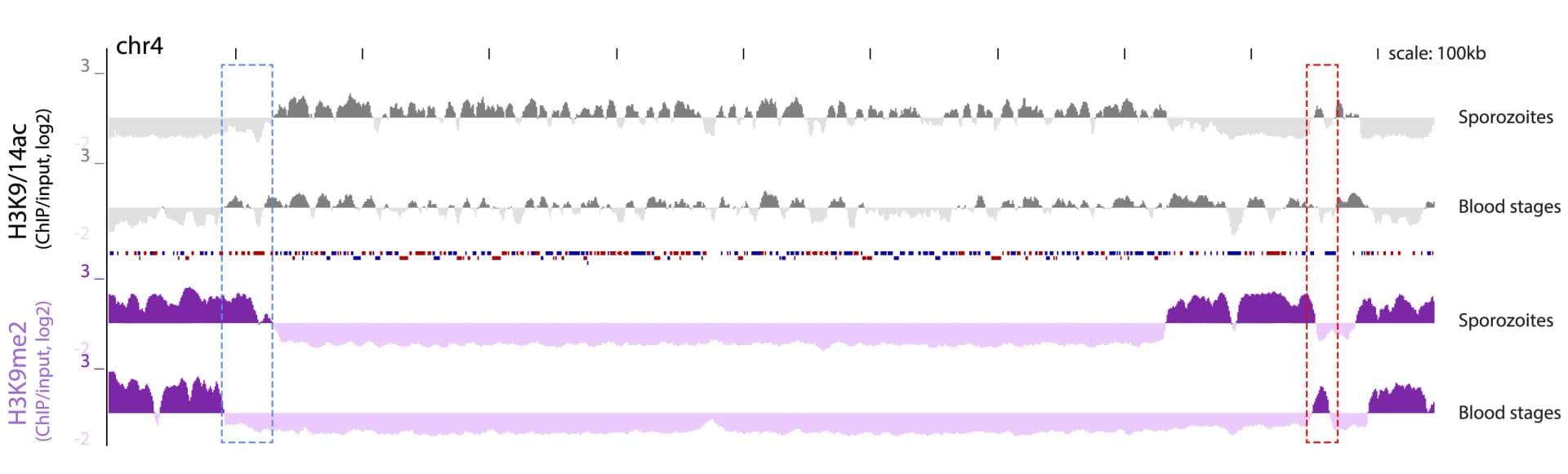 Open access visualization of Line Plot, H3K9/14ac, H3K9me2, ChIP-over-input ratio, Chromosome 4