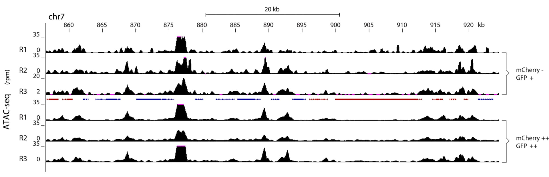 Open access visualization of Line Plot, ATAC-Seq, Liver Stage Forms, Hypnozoites, Liver Schizonts