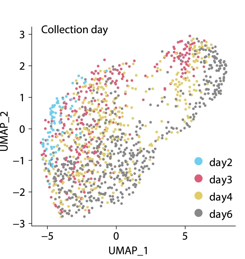 Open access visualization of UMAP, Uniform Manifold Approximation and Projection, Liver-stage P. cynomolgi parasites, Gene Expression Profile, Parasite Age