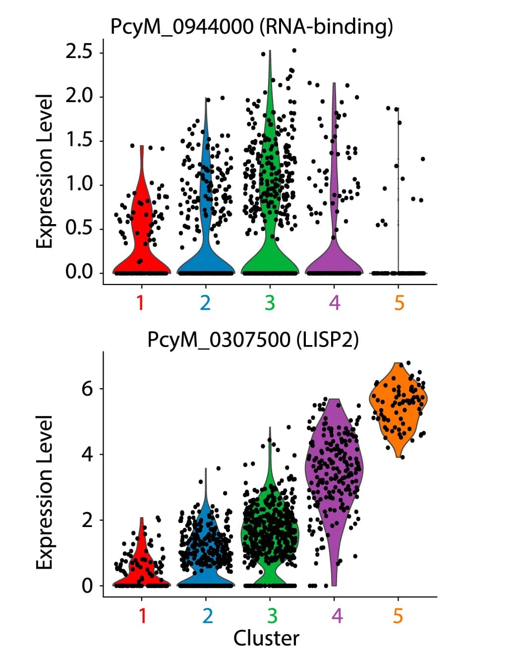 Open access visualization of Violin Plot, Scatter Plot, Violin Plots, Expression Levels, Heterochromatin-gaining gene
