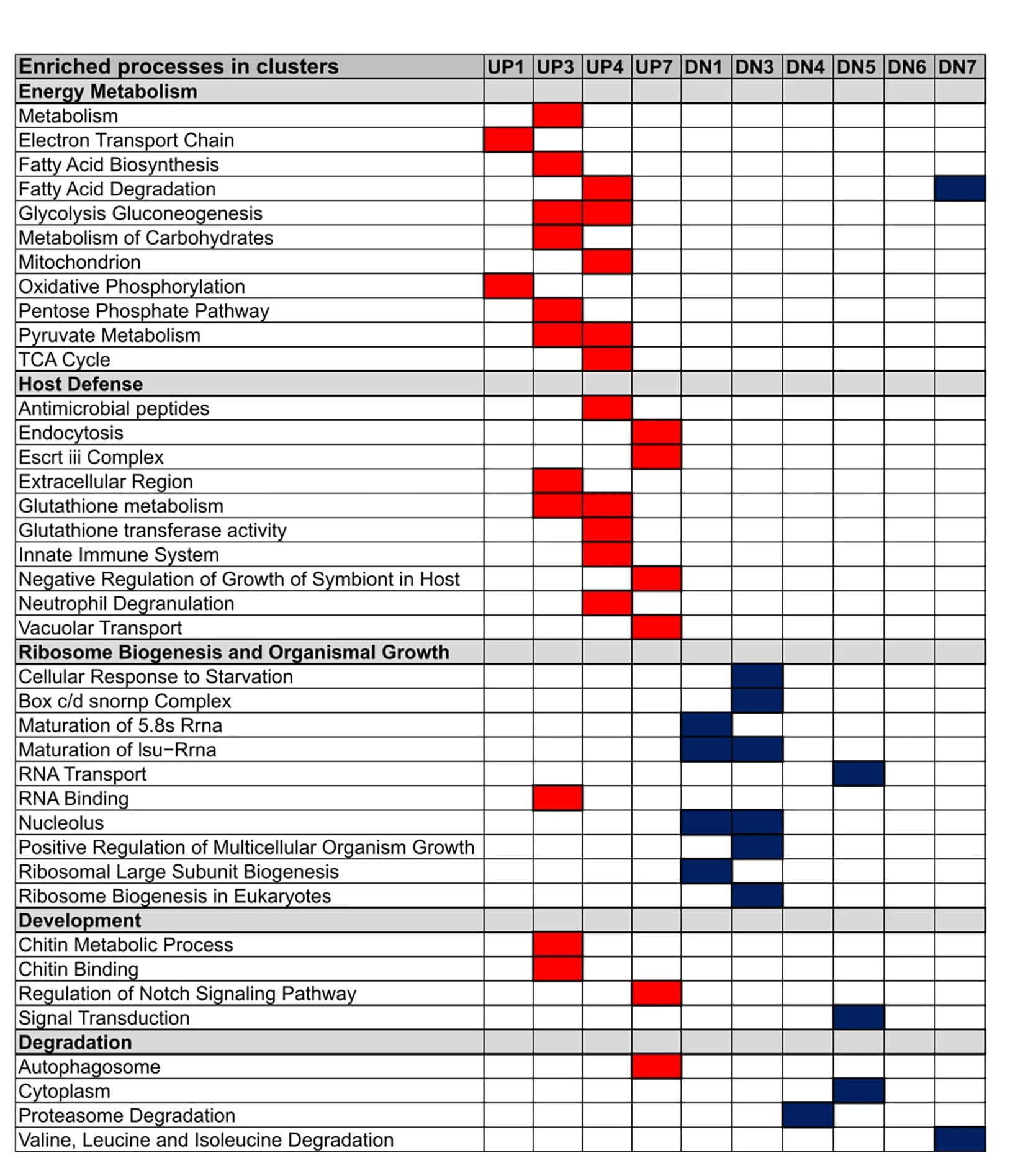 Open access visualization of Heatmap, Biological processes, Sugar-regulated gene clusters, Gene set enrichment analysis, Up-regulated pathways