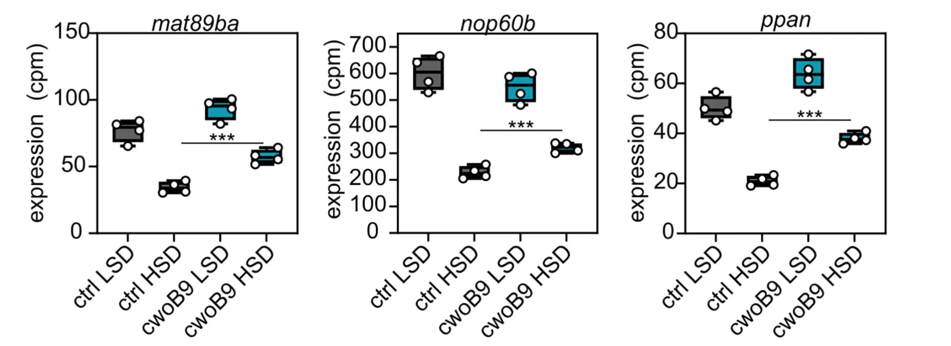 Open access visualization of Box Plot, Scatter Plot, Ribosome Biogenesis Genes, RNA-Seq, Larvae
