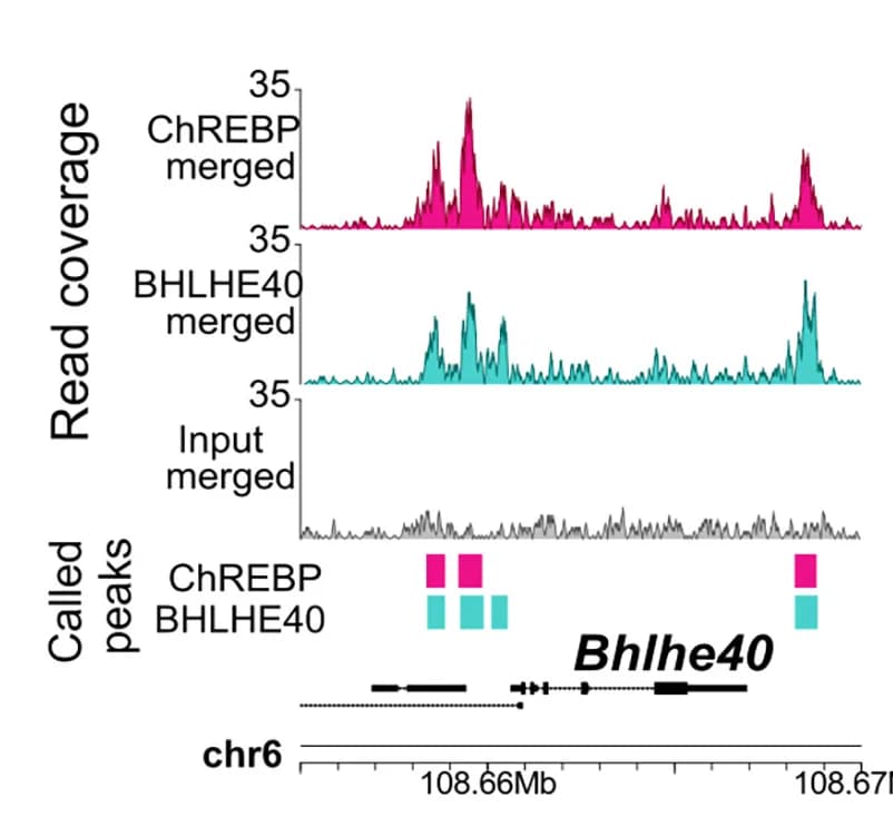 Open access visualization of Line Plot, Density Plot, Bar Plot, ChREBP, BHLHE40