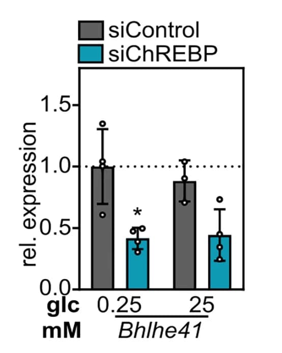 Open access visualization of Bar Plot, Error Bars, ChREBP, Mouse Hepatocytes, qPCR