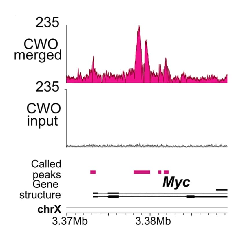 Open access visualization of Line Plot, Ridge Plot, CWO, Myc, ChIP-seq
