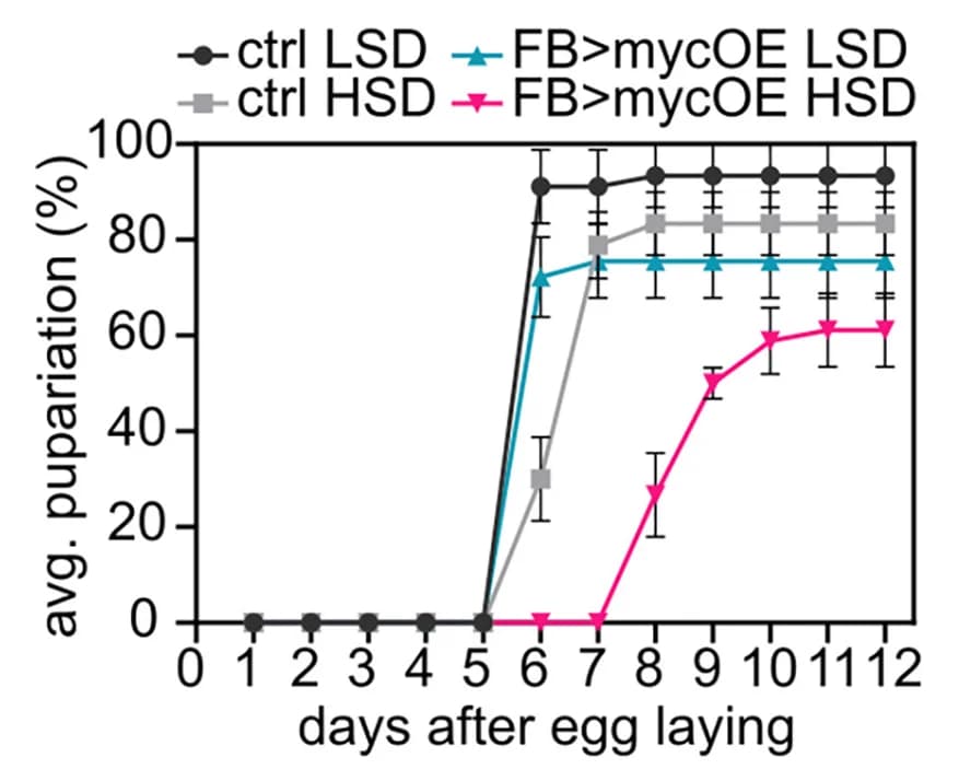 Open access visualization of Line Plot, Error Bars, mycOE, Larval FB, Pupariation