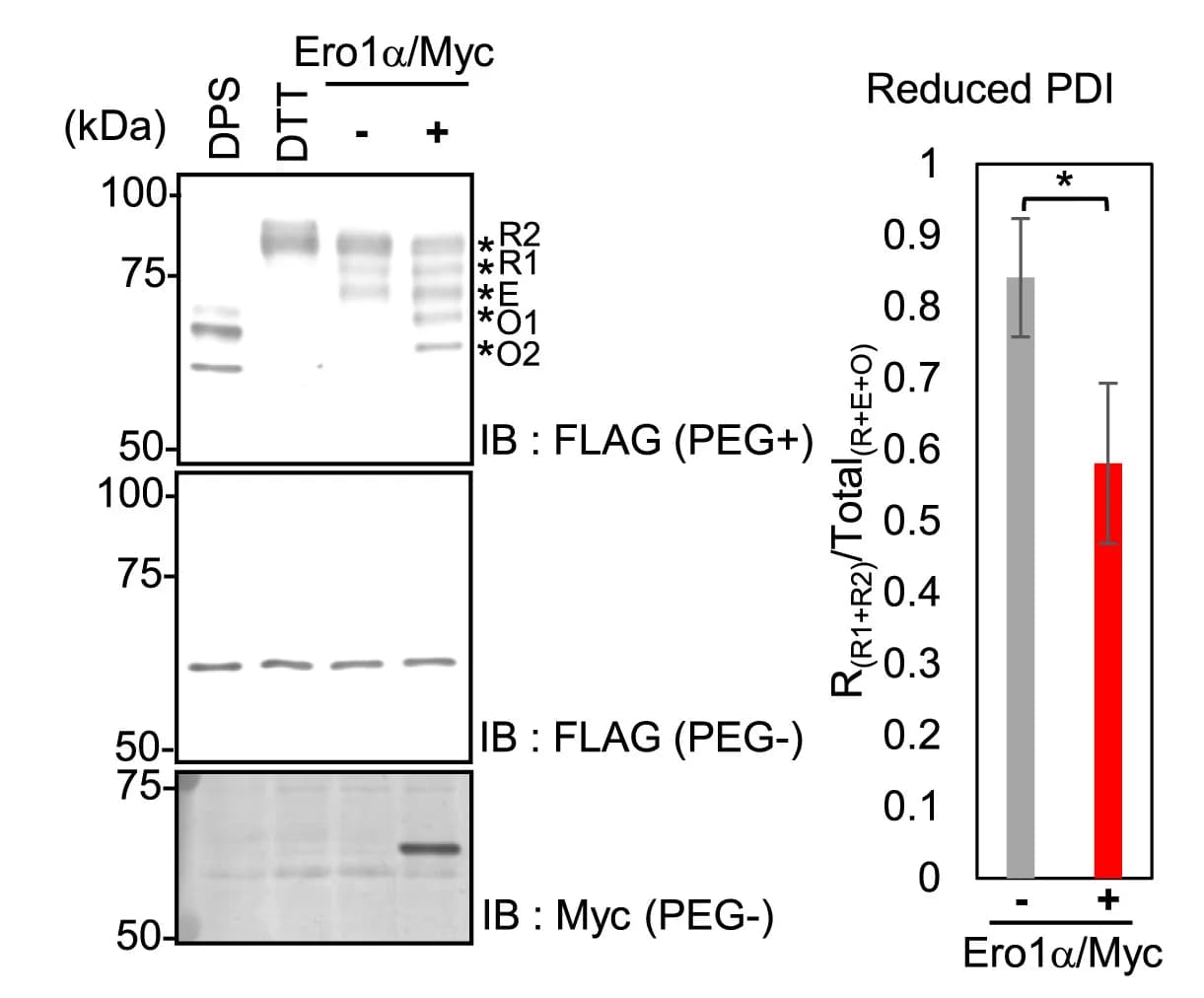 Open access visualization of Bar Plot, Error Bars, Gel, Redox States, Polyethylene Glycol