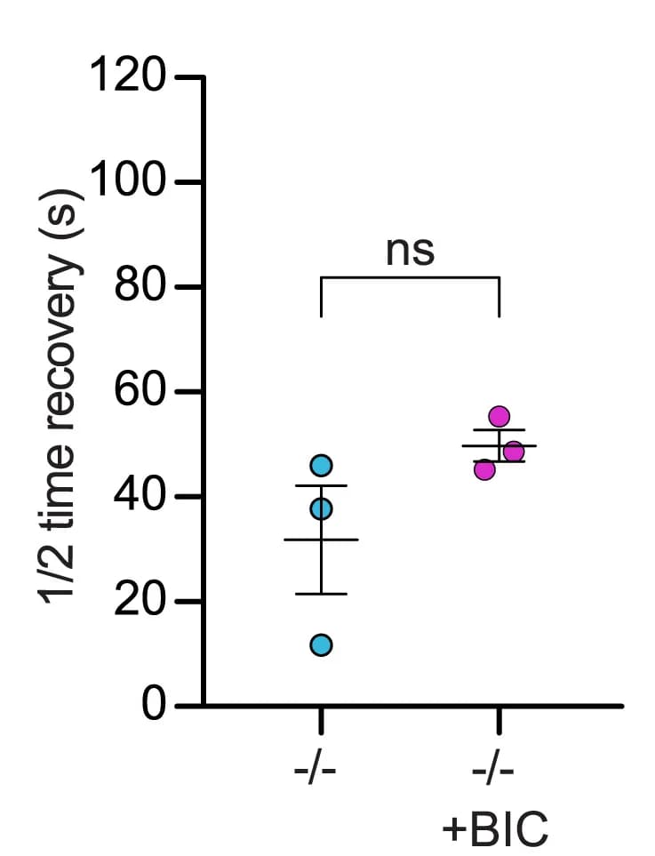 Open access visualization of Scatter Plot, Error Bars, GFP-actin, Half-time Recovery, Actin Pool