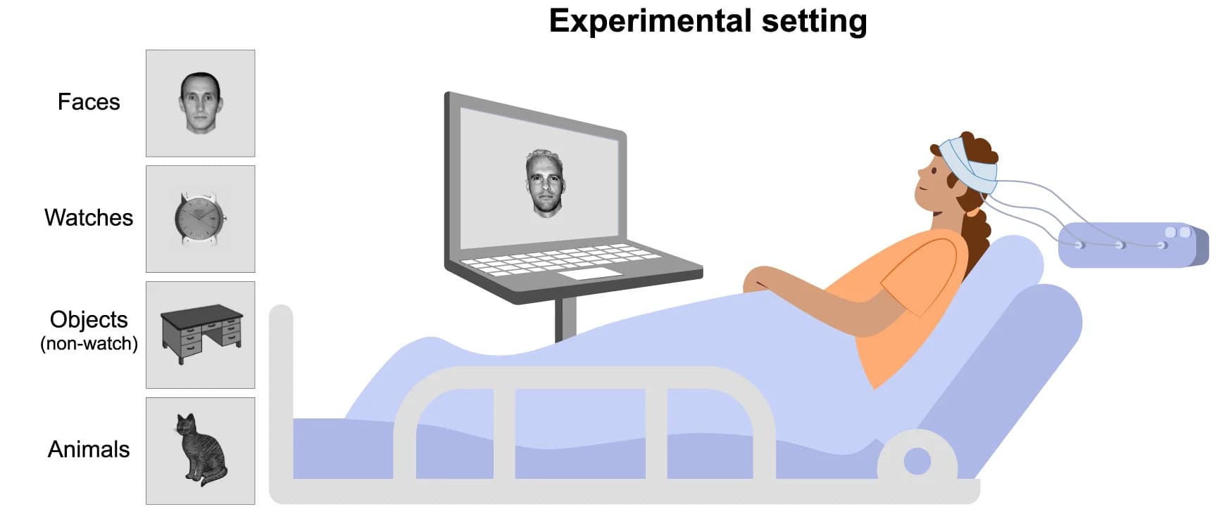 Open access visualization of Illustration, Experimental Setup, Images