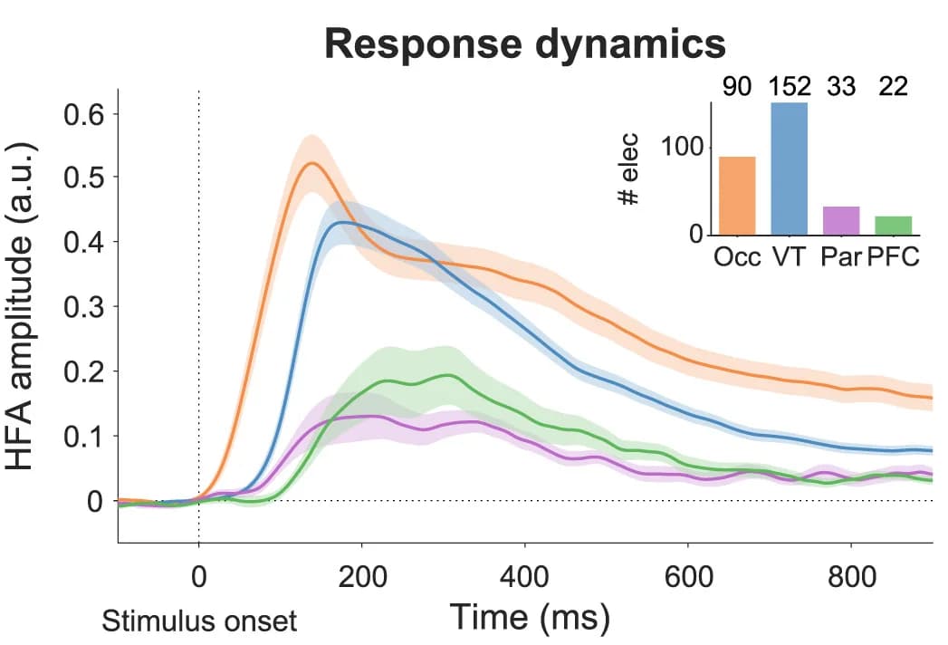 Open access visualization of Line Plot, Error Bars, Bar Plot, HFA Response, Electrodes