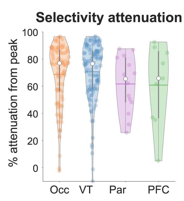 Open access visualization of Violin Plot, Attenuation, Selectivity, Image Duration