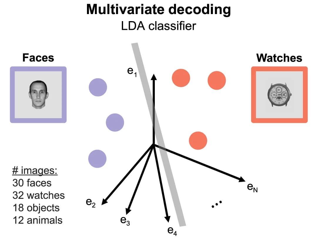 Open access visualization of Scatter Plot, Decoding, Single-trial responses, Linear classifier