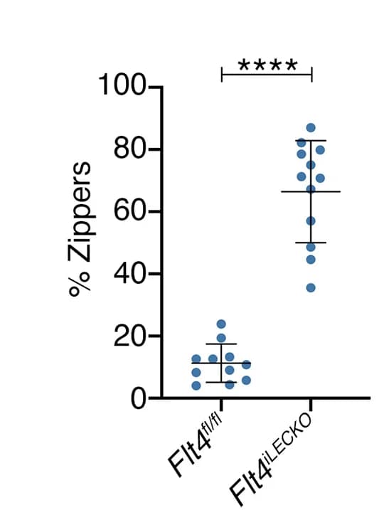 Open access visualization of Scatter Plot, Error Bars, Graph, Junction Types, ANOVA