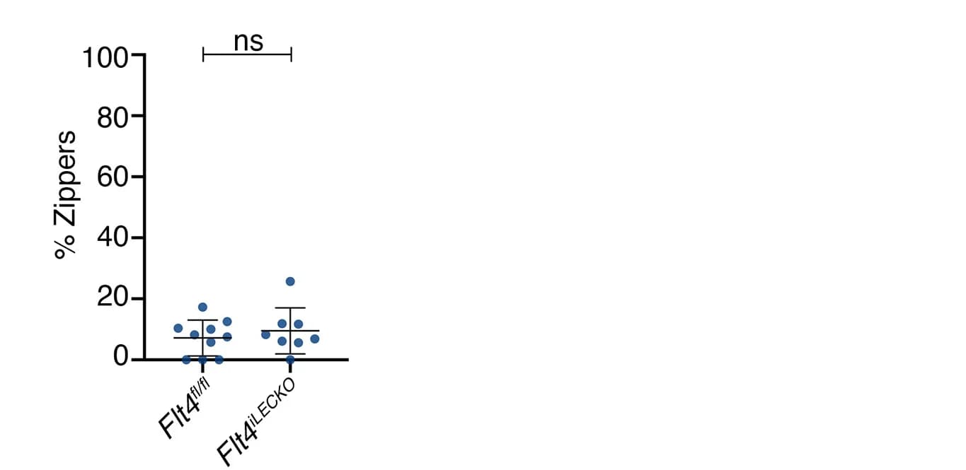 Open access visualization of Scatter Plot, Error Bars, Junction Type, Two-way ANOVA, Sidak’s Test