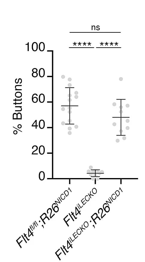 Open access visualization of Scatter Plot, Error Bars, Button Junctions, Intermediate Junctions, Zipper Junctions