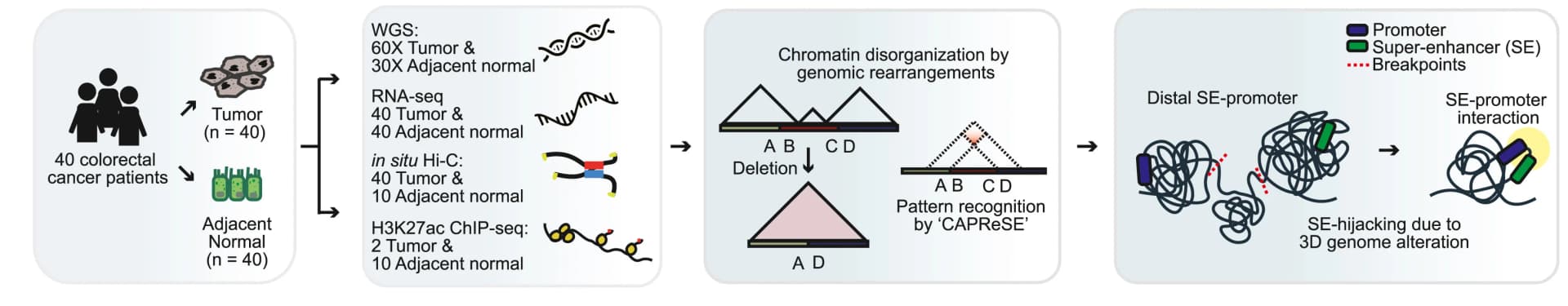 Open access visualization of Workflow, Illustration, Study Design, Sequencing, Omics Data