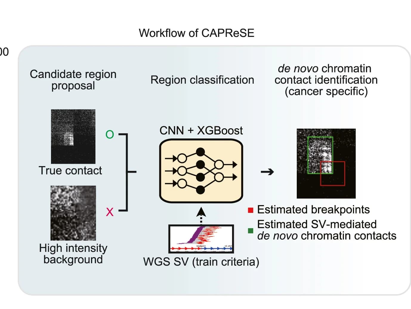 Open access visualization of Workflow, Photo, Line Plot, CAPReSE, Machine Learning