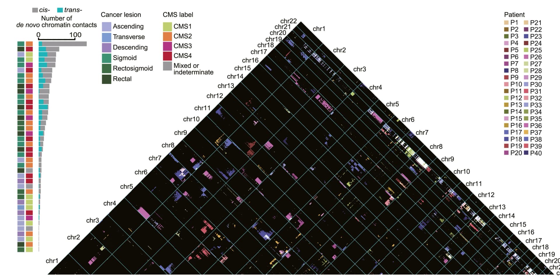 Open access visualization of Heatmap, Bar Plot, Hi-C Contact Maps, Chromosomes, CRC