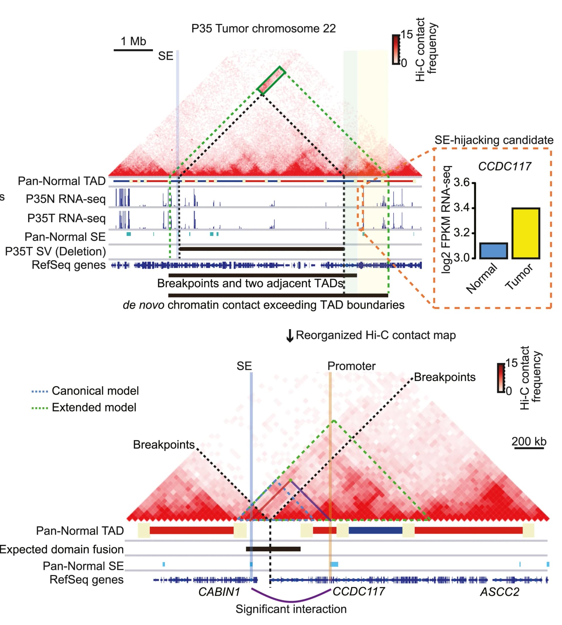 Open access visualization of Heatmap, Bar Plot, Line Plot, Hi-C Contact Map, Tumor