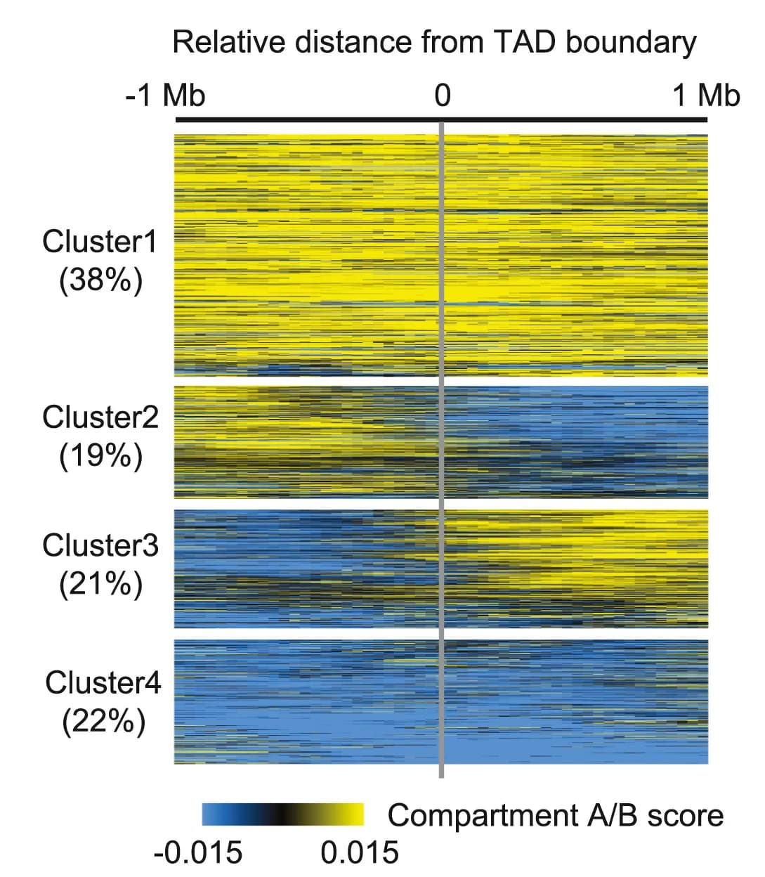 Open access visualization of Heatmap, K-means Clustering, Compartment A/B, TAD Boundaries, Chromatin Contacts