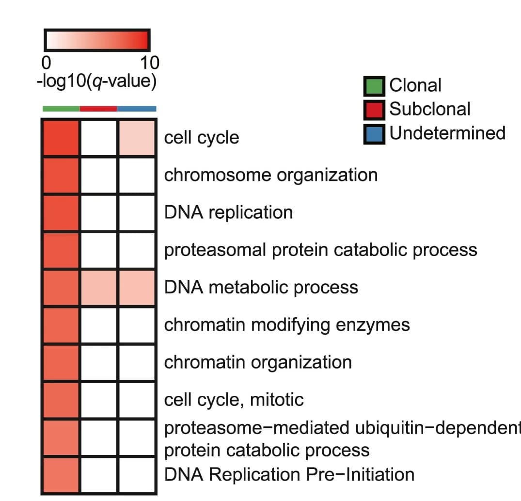 Open access visualization of Heatmap, Biological Pathways, Clonal, Subclonal, Gene Sets