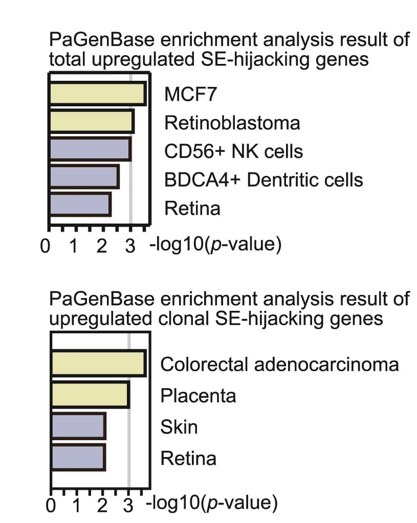Open access visualization of Bar Plot, PaGenBase, SE-Hijacking, Clonal, Gene Sets