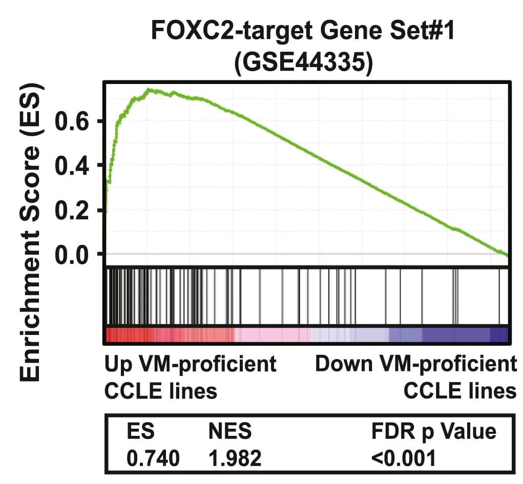 Open access visualization of Line Plot, GSEA, VM-proficient, Solid tumor, Human cell lines