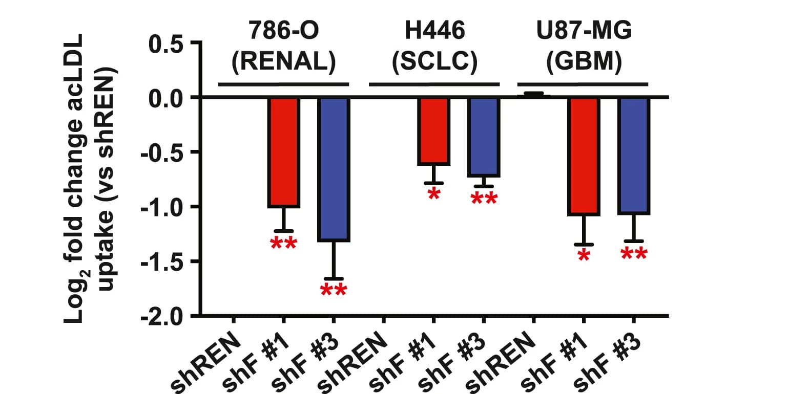 Open access visualization of Bar Plot, Error Bars, Clustered, Quantification, acLDL Uptake