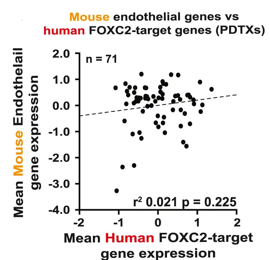 Open access visualization of Scatter Plot, Regression Plot, Pearson Correlation, Endothelial Genes, FOXC2