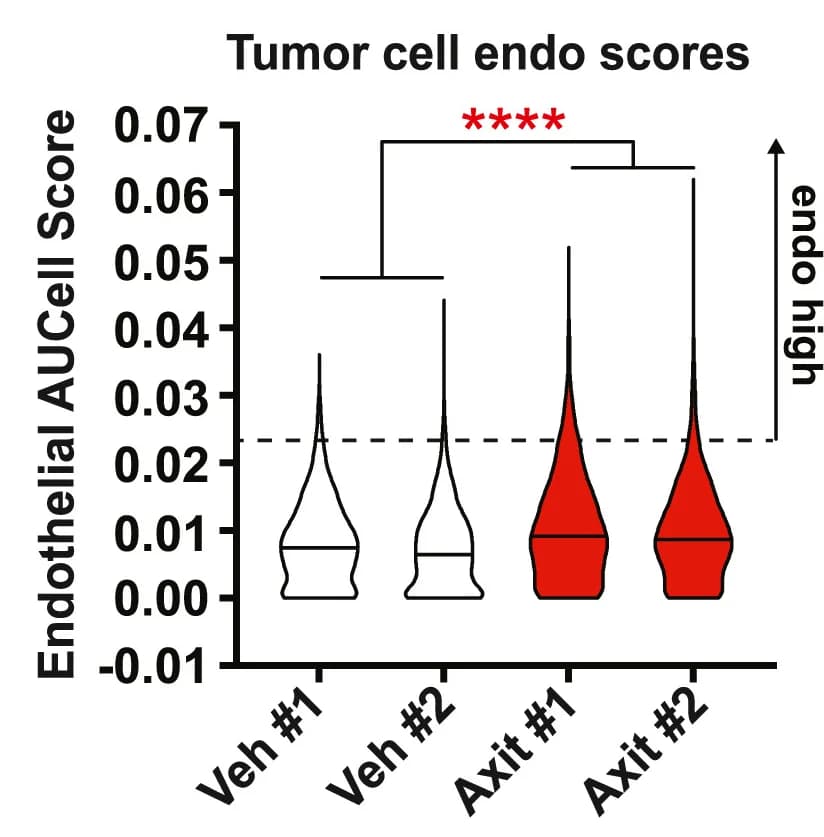 Open access visualization of Violin Plot, AUCell, Endo Scores, Tumor Cells, Replicates