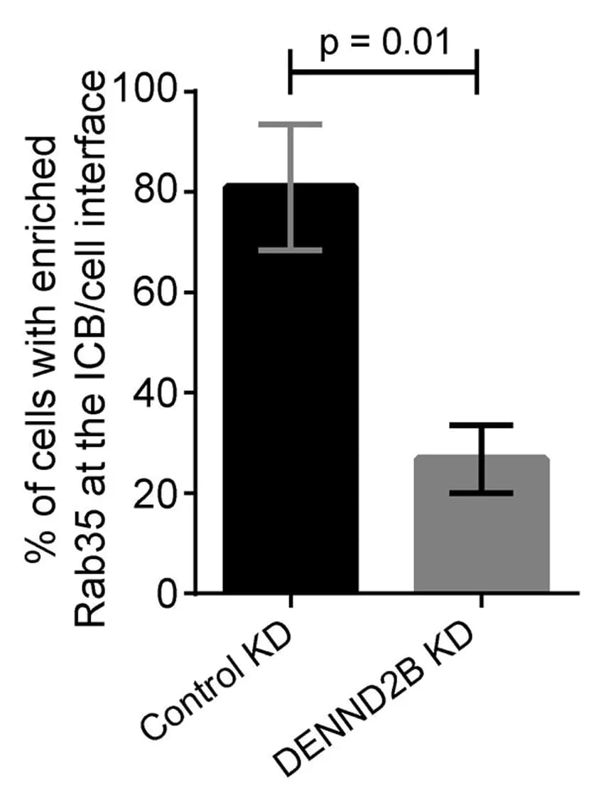 Open access visualization of Bar Plot, Error Bars, Quantification, Mean, SEM