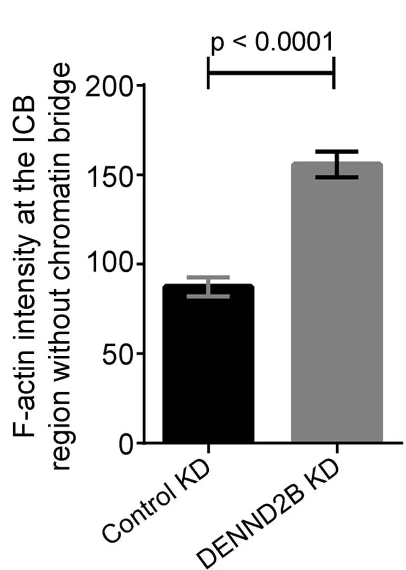 Open access visualization of Bar Plot, Error Bars, Quantification, Statistical Analysis, Unpaired t-test