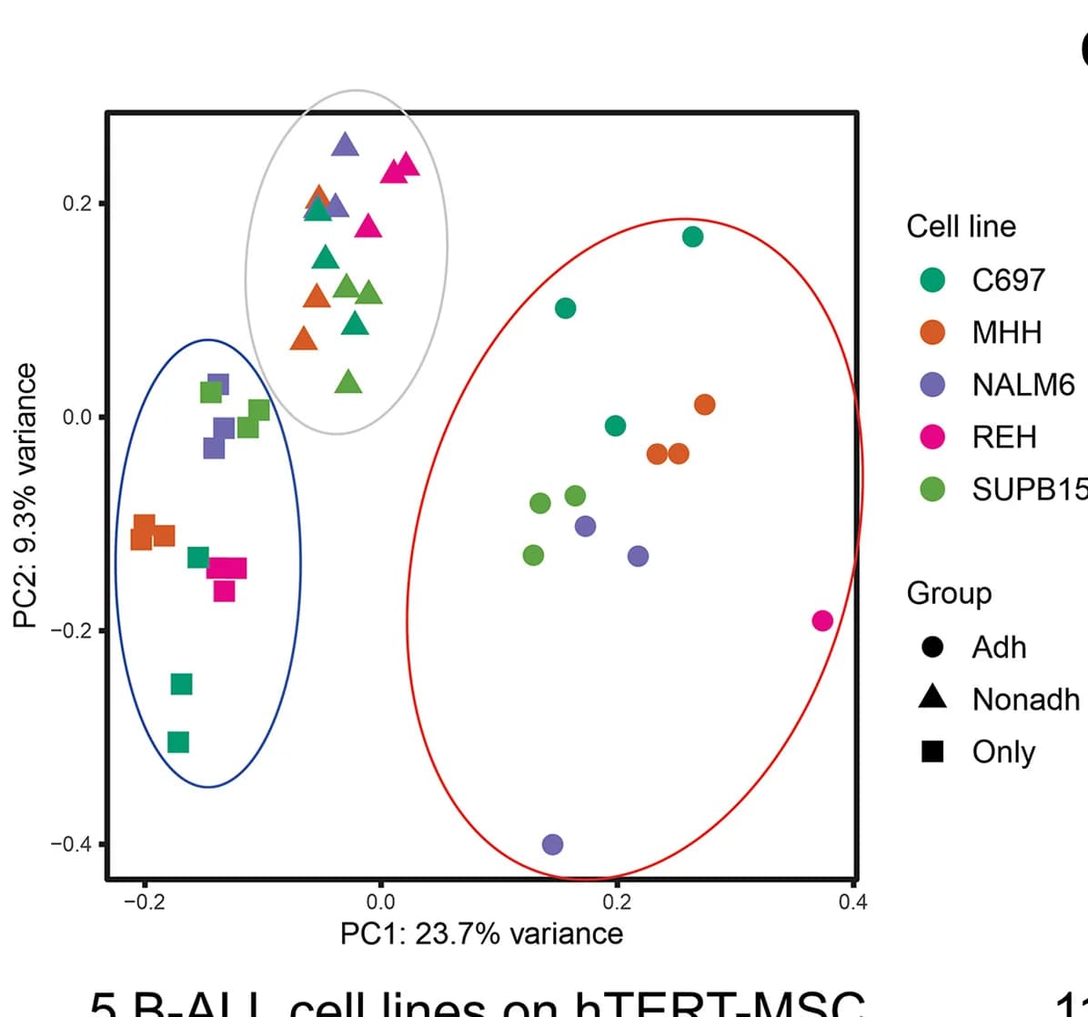 Open access visualization of Scatter Plot, PCA, PCA Plot, ALL Cell Lines