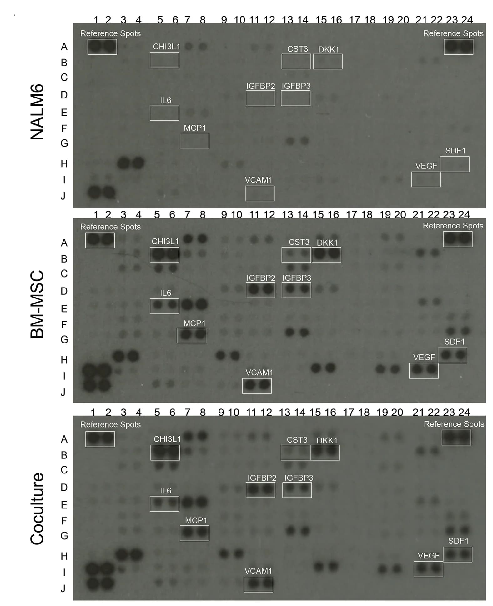 Open access visualization of Gel, Cytokines, Co-culture Media
