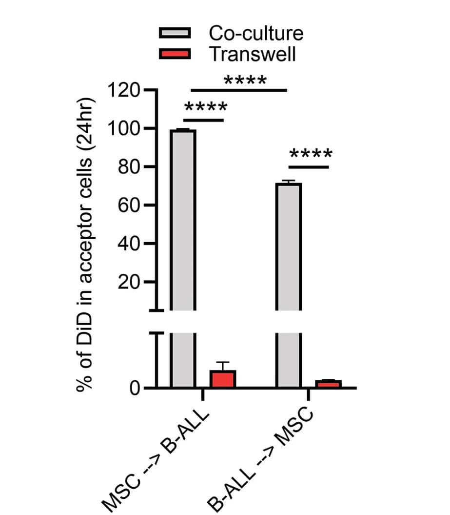 Open access visualization of Bar Plot, Error Bars, Clustered, Cellular Vesicles, B-ALL