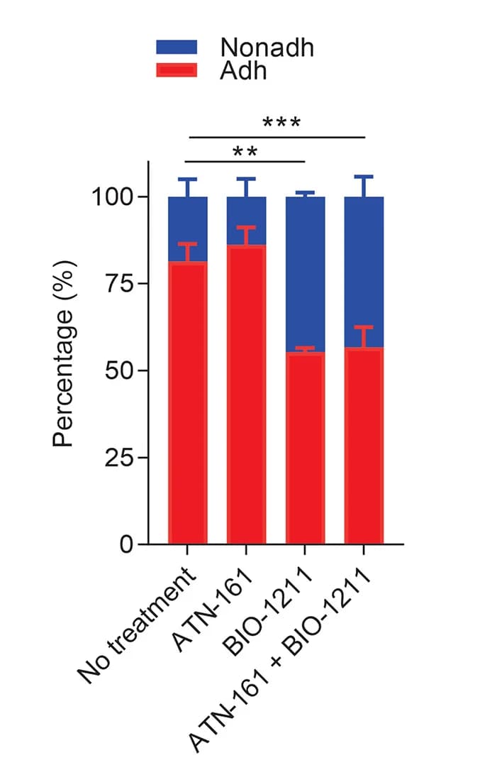 Open access visualization of Stacked Bar Plot, Error Bars, Cell Adhesion Assay, NALM6 Cells, MSCs