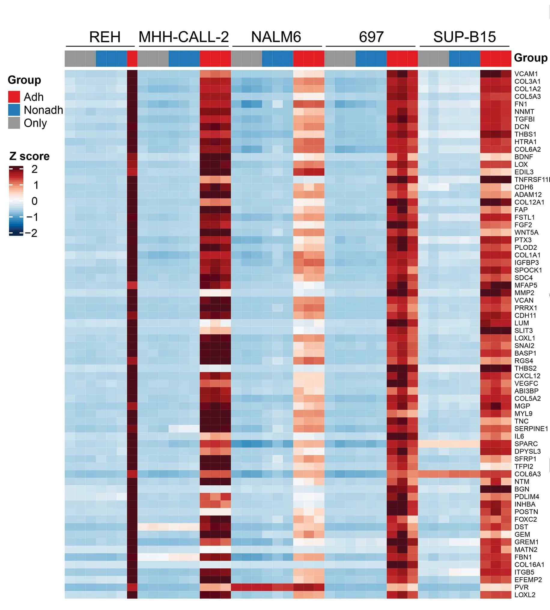 Open access visualization of Heatmap, Gene Set Enrichment Analysis, EMT Genes, Adh ALL, Cell Lines