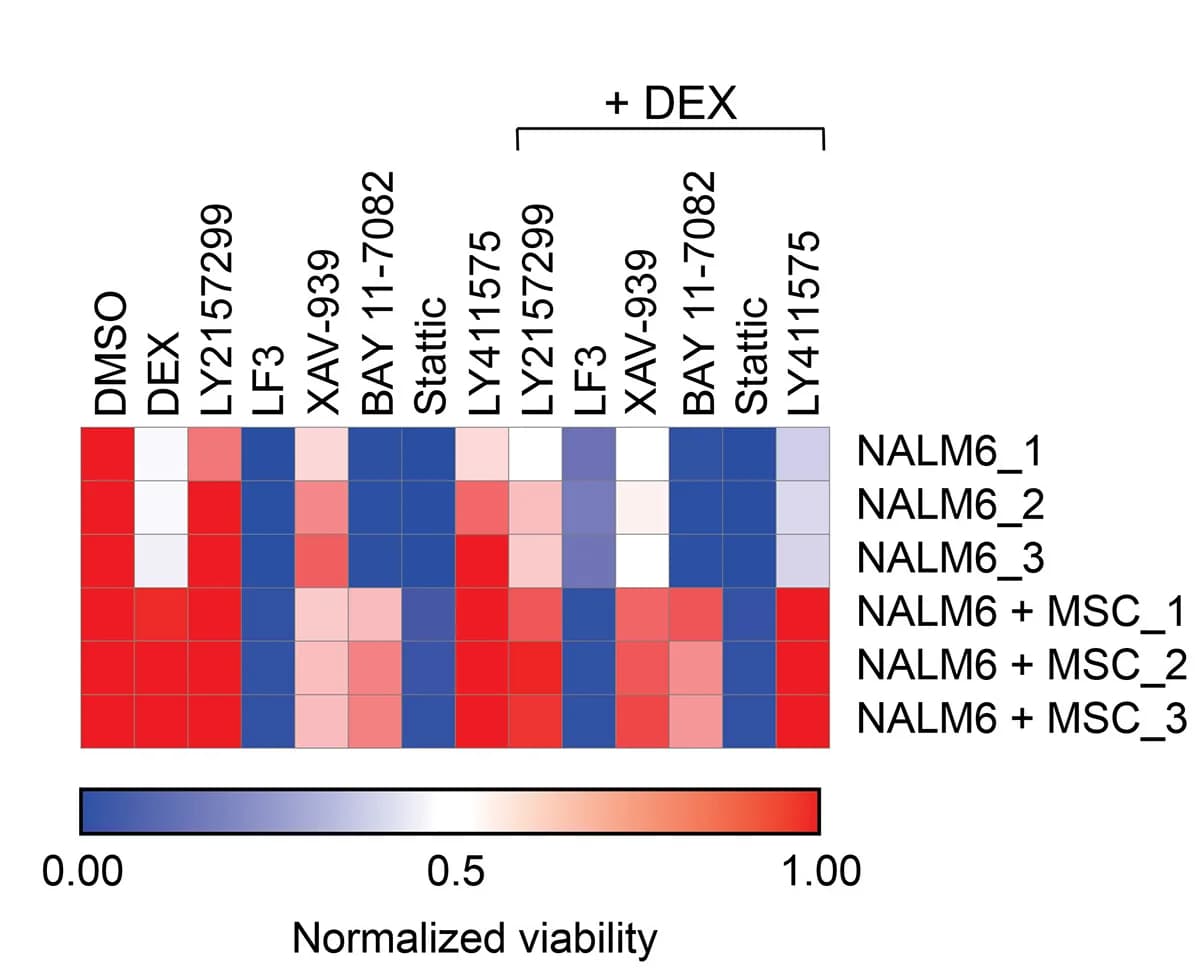 Open access visualization of Heatmap, Cell Viability Assay, Inhibitors, Signaling Pathways, DEX